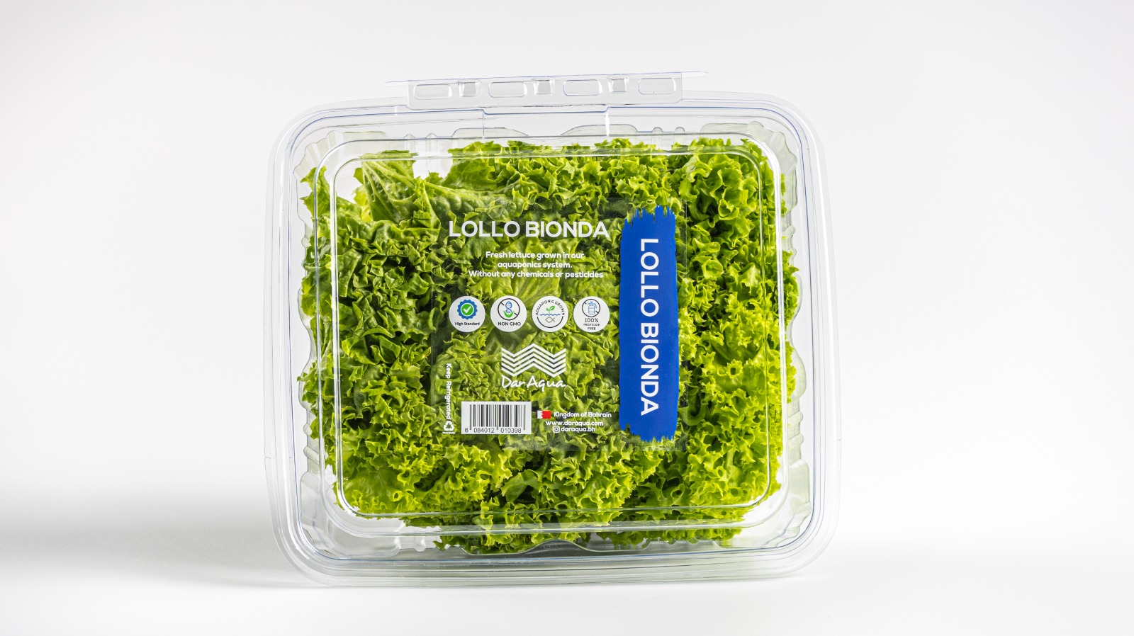 Lollo Lettuce